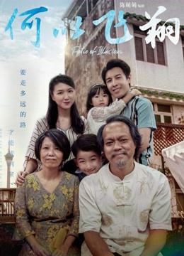 何以飞翔封面图