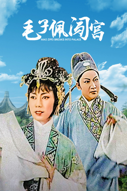 毛子佩闯宫封面图