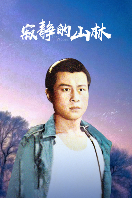 寂静的山林封面图