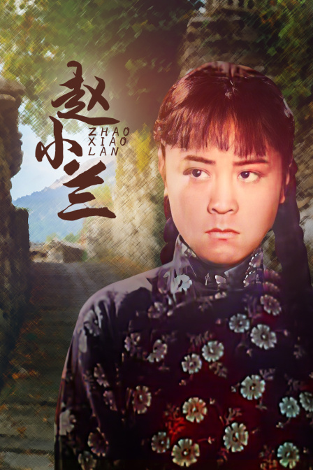 赵小兰封面图
