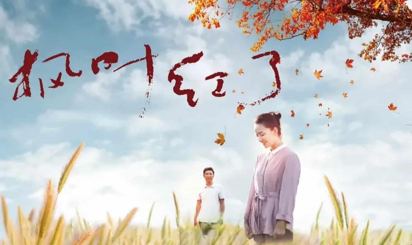 枫叶红了封面图