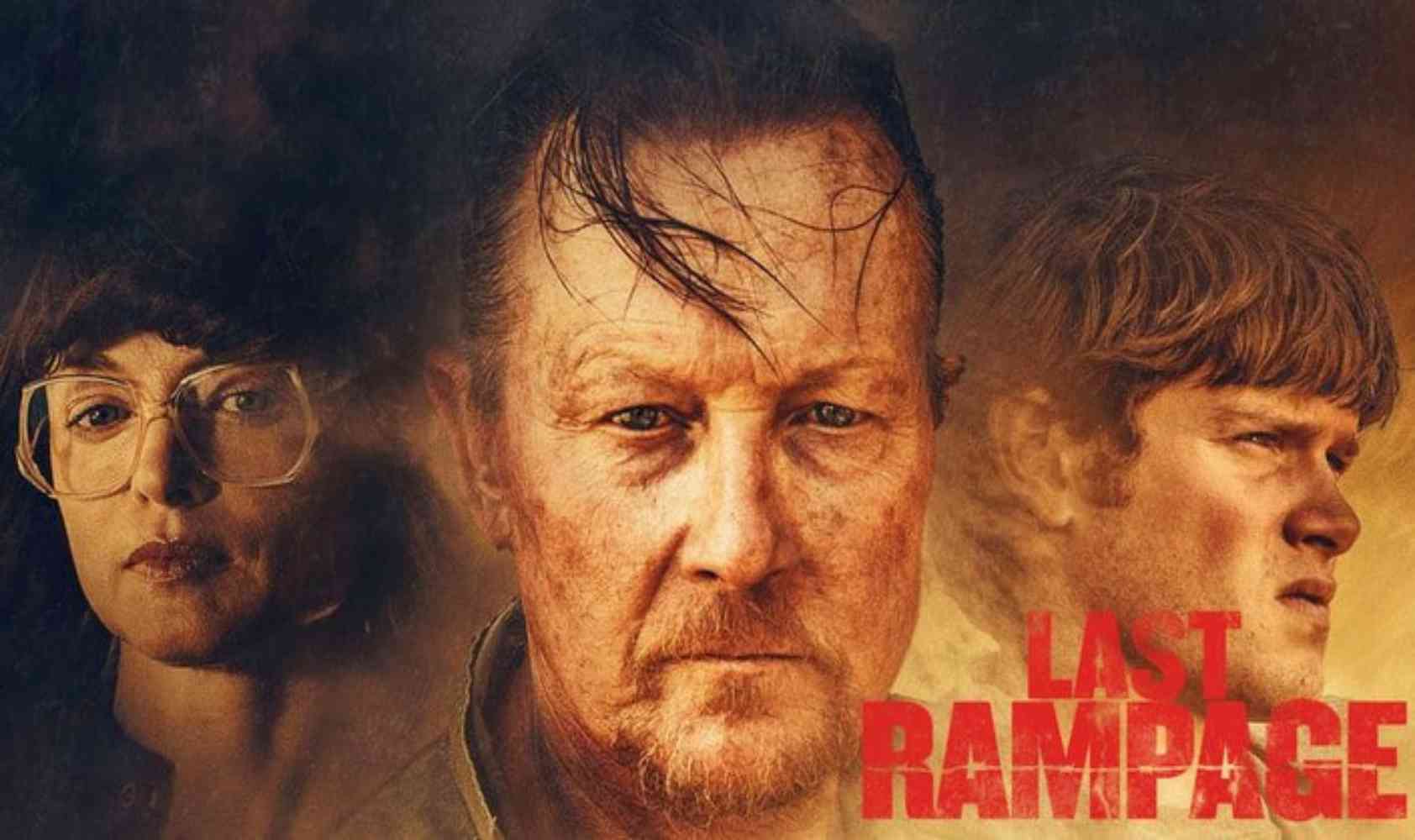 最后的疯狂封面图