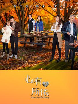 心有所依封面图
