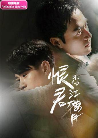 恨君不似江楼月 越南语版封面图