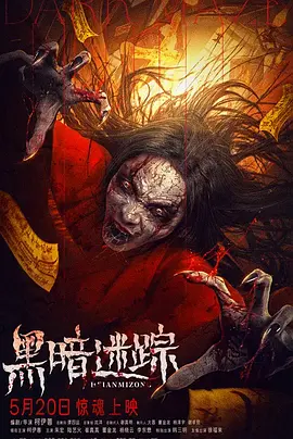 黑暗迷踪封面图