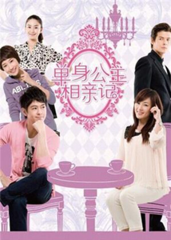 单身公主相亲记封面图