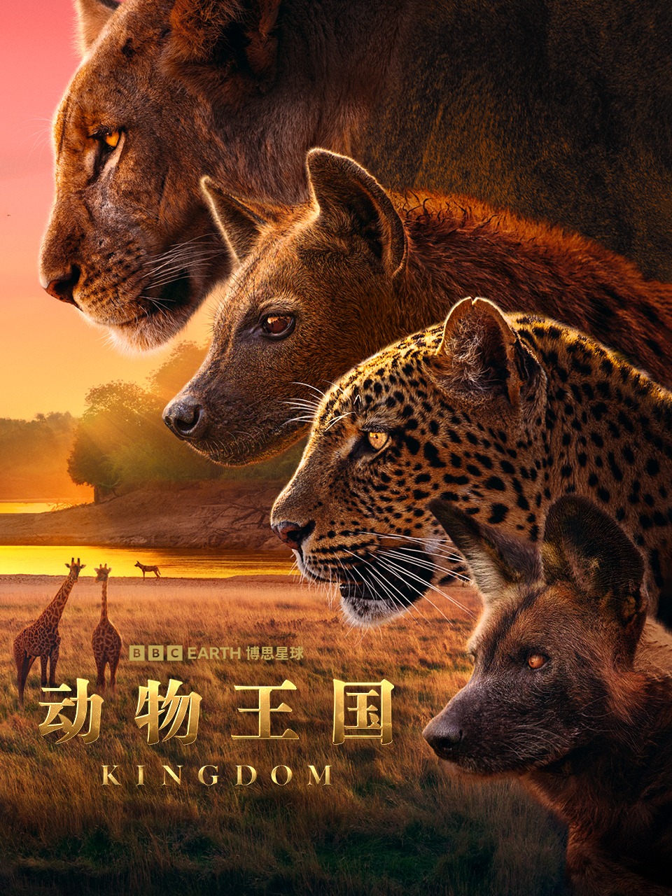 动物王国封面图