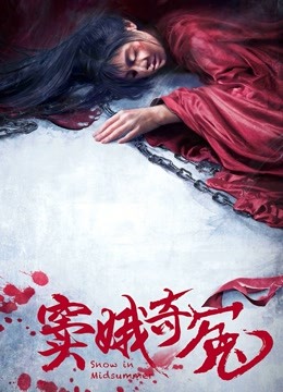 窦娥奇冤封面图