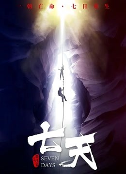 七天封面图