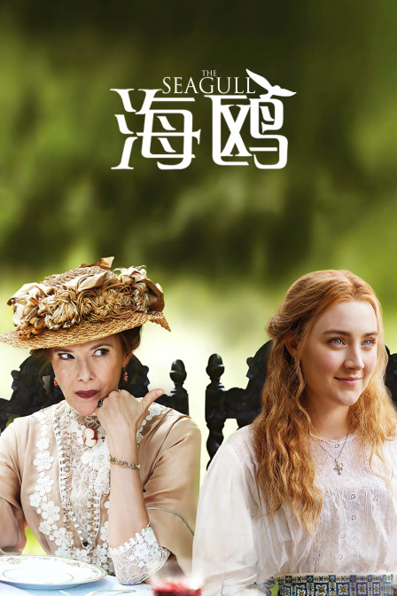 海鸥封面图