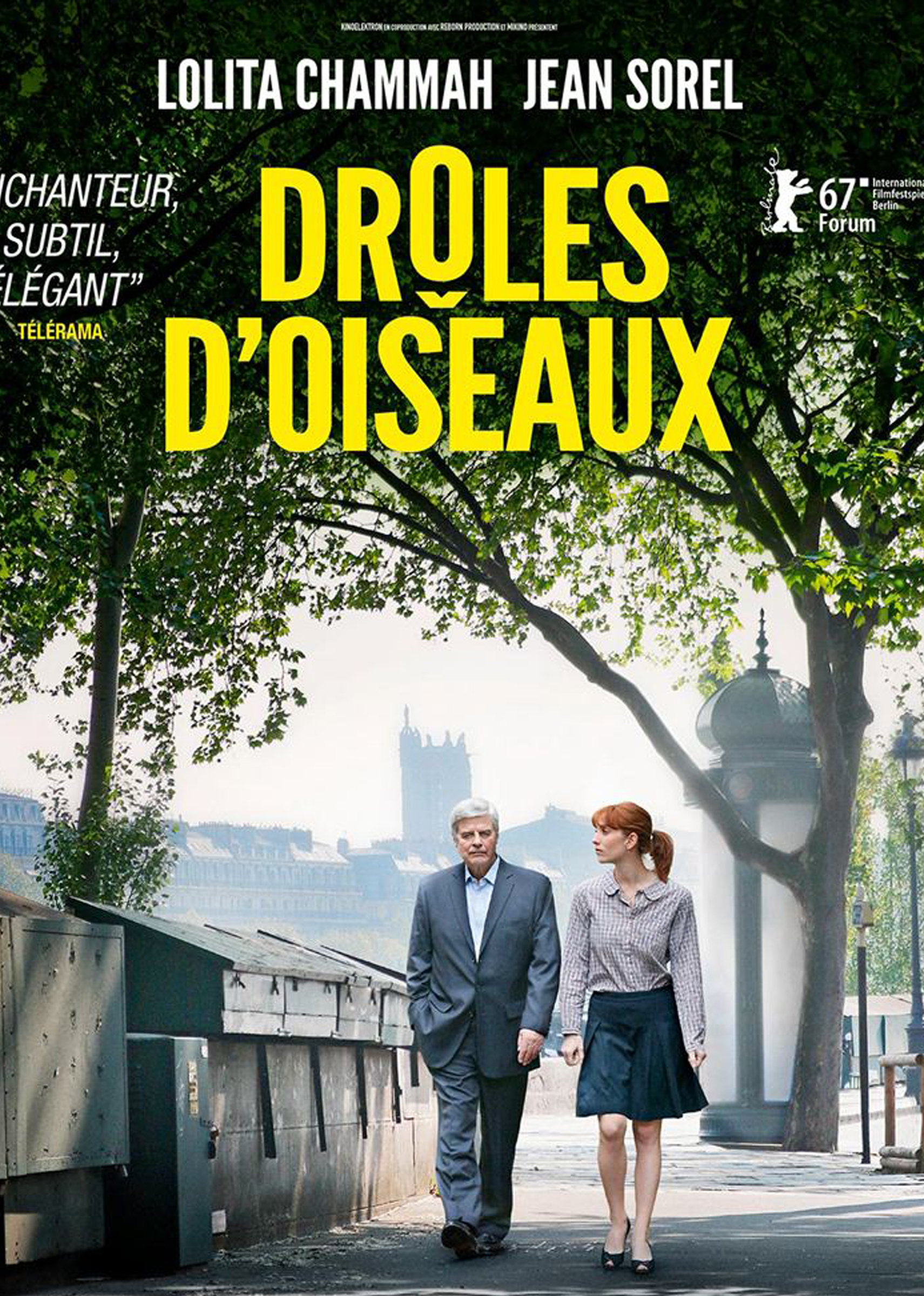 奇怪的鸟封面图