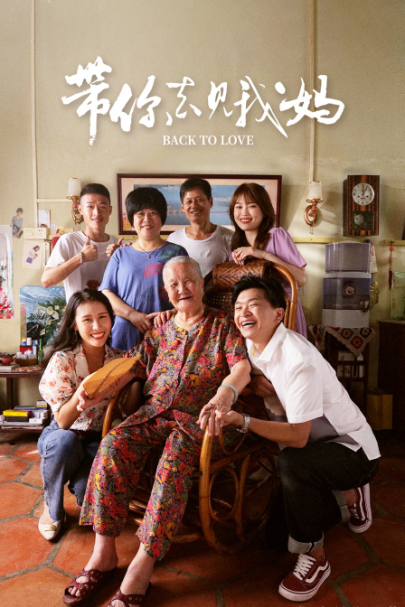 带你去见我妈封面图