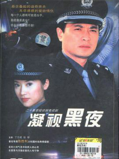 凝视黑夜封面图