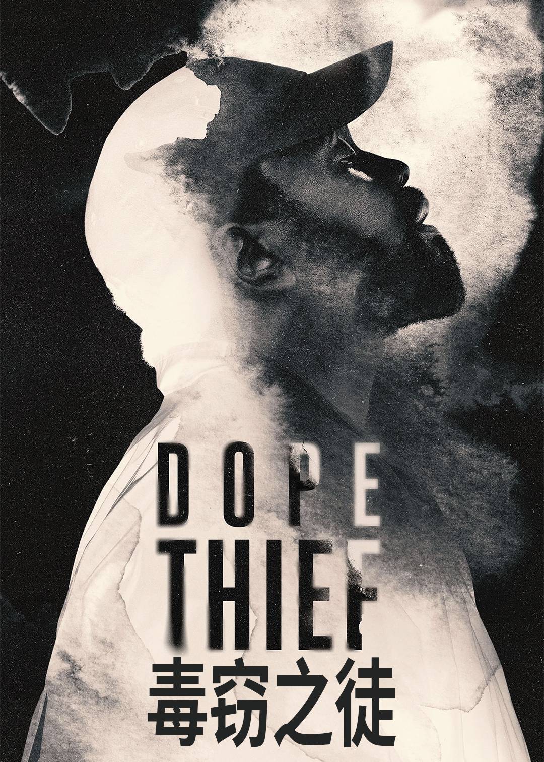 毒窃之徒封面图