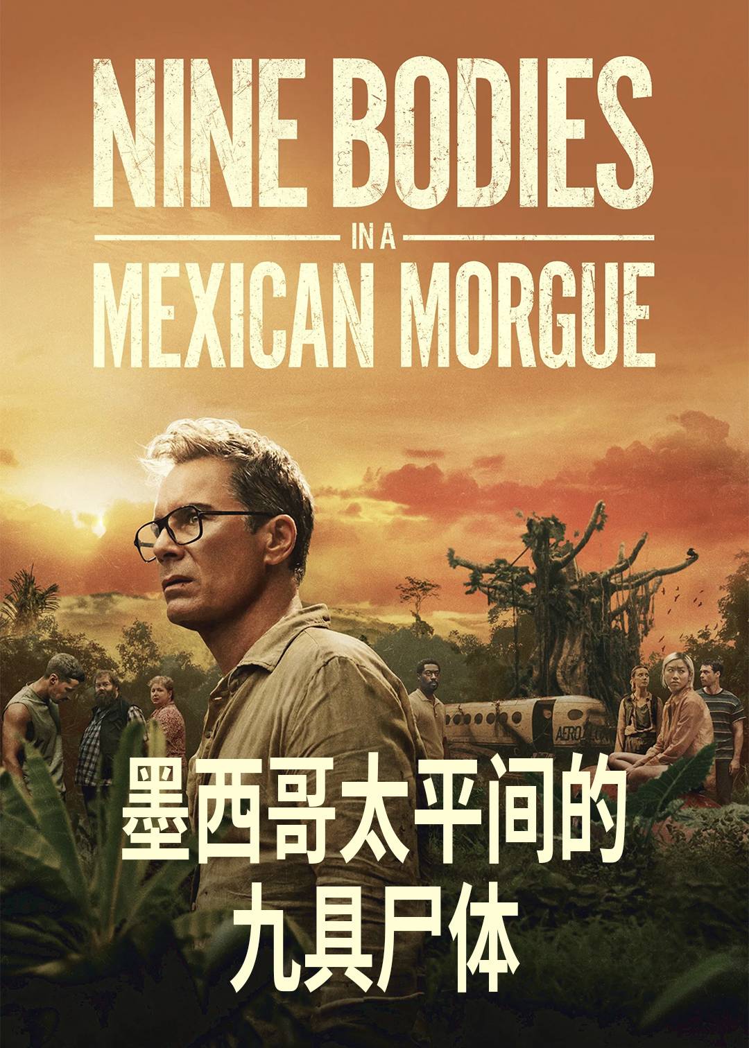 墨西哥太平间的九具尸体封面图