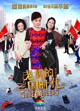 老妈的三国时代封面图