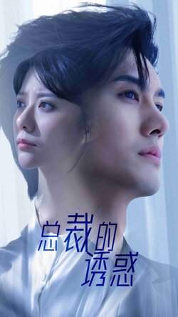 总裁的诱惑封面图