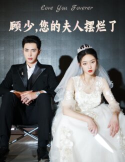 顾少，您的夫人摆烂了封面图