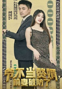 爷不当赘婿，前妻破防了封面图