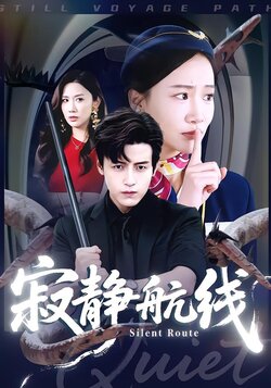 寂静航线封面图