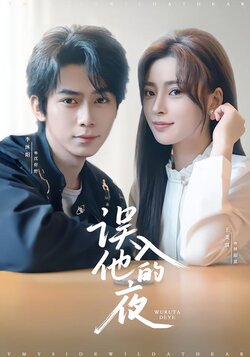 误入他的夜封面图