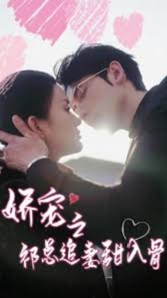 娇宠之祁总追妻甜入骨封面图