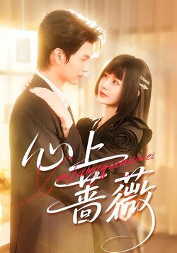 心上蔷薇封面图