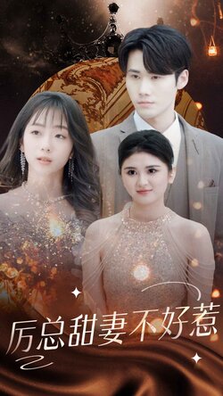 历总前妻不好惹封面图