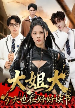 大姐大今天也在好好读书封面图