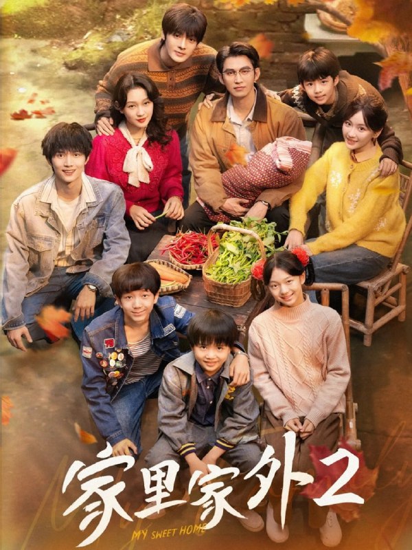 家里家外第二季