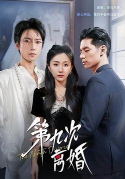 第九次离婚封面图