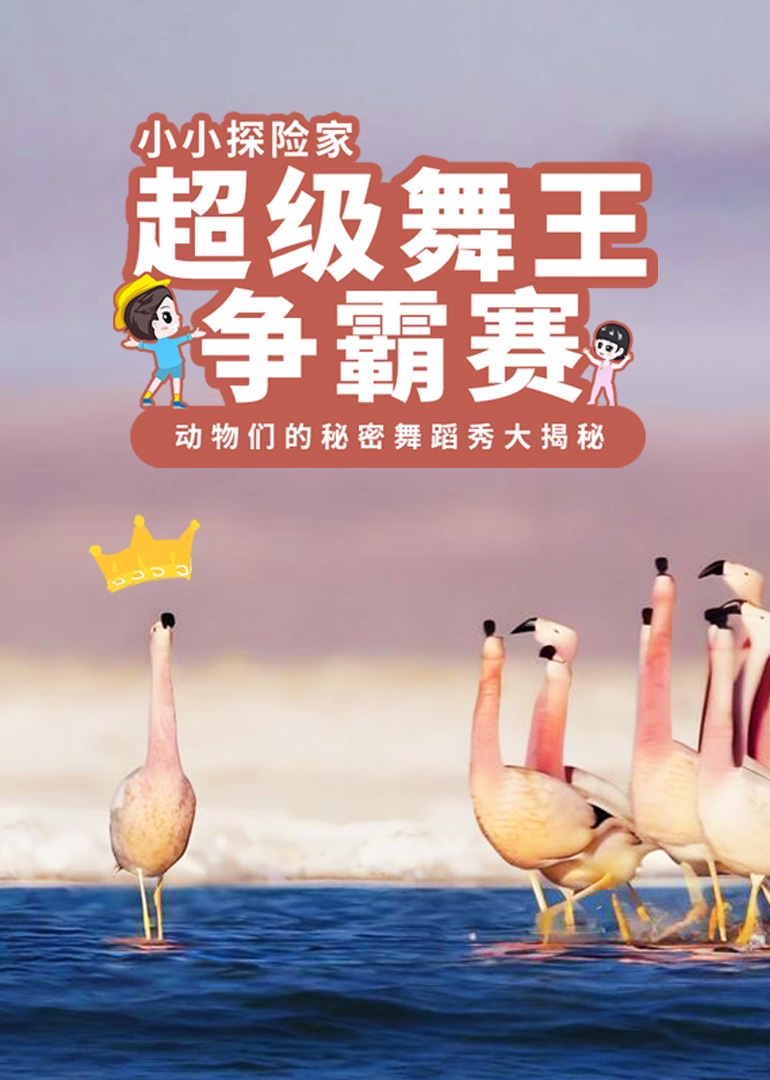 小小探险家：超级舞王争霸赛封面图