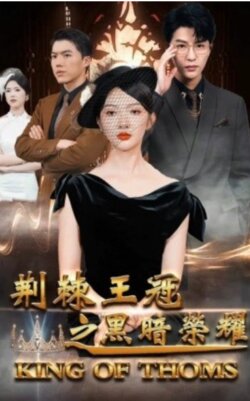 荆棘王冠之黑暗荣耀封面图