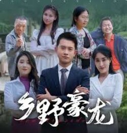 乡野豪龙封面图