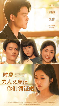 时总夫人又忘记你们领证啦封面图