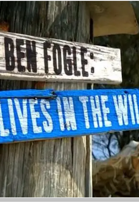 荒野新生第一季