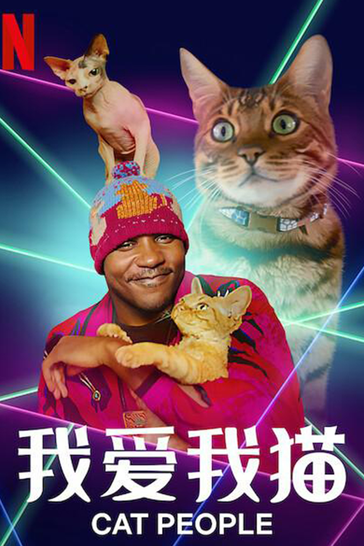 我爱我猫封面图