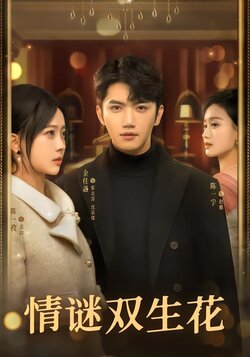 情谜双生花封面图