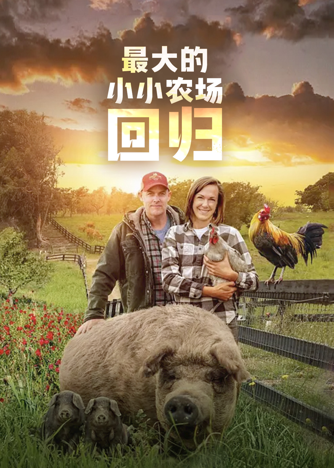最大的小小农场：回归封面图