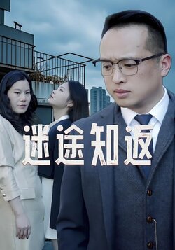 迷途知返封面图