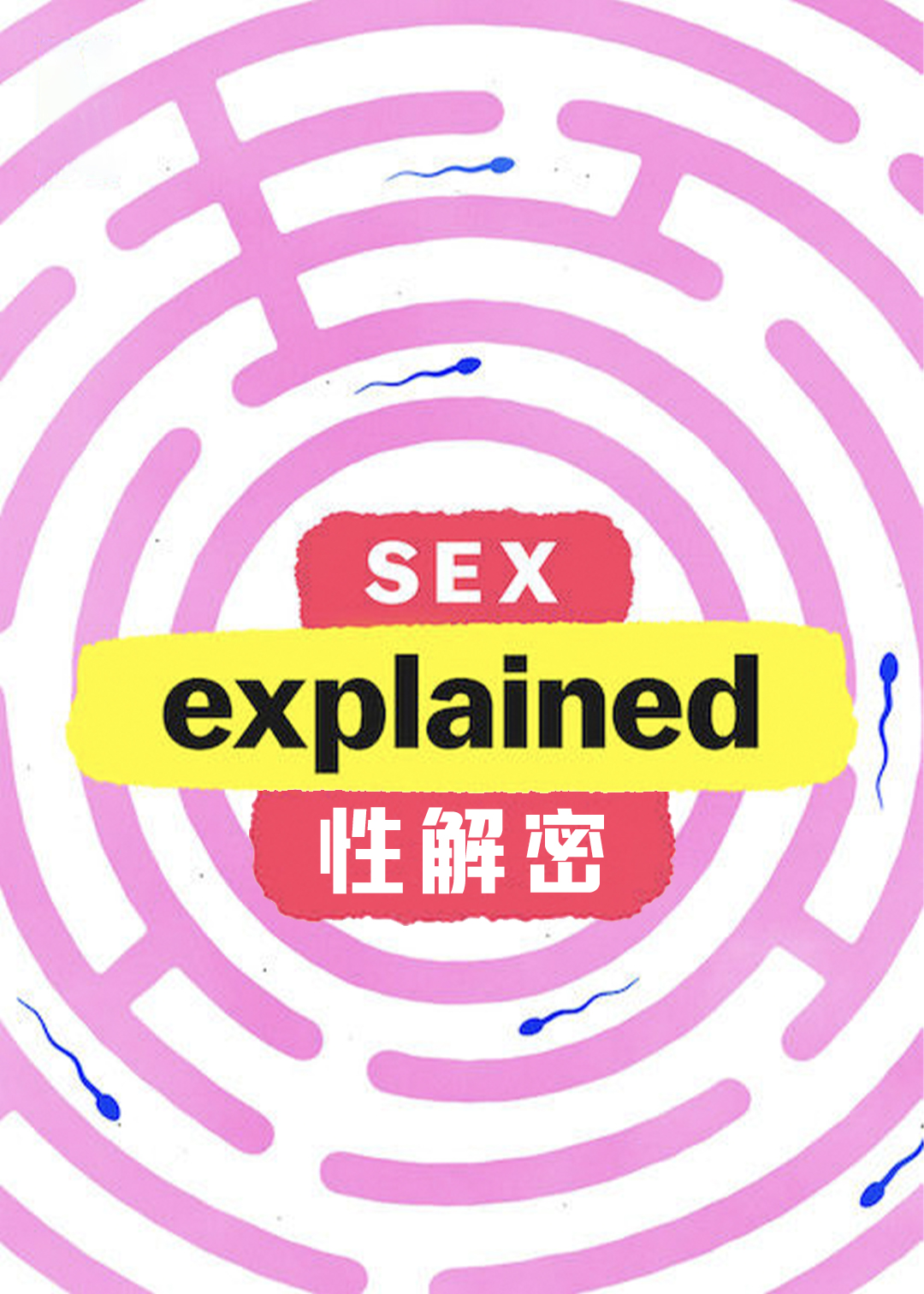 爱情解密封面图