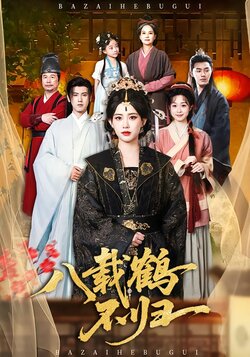 八载鹤不归封面图