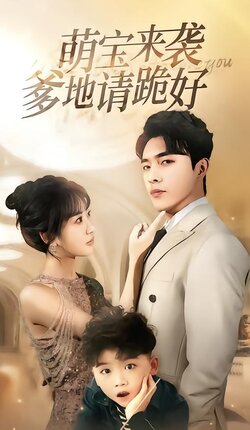 萌宝回归记封面图