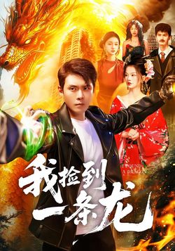 我捡到一条龙封面图