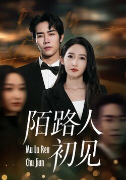 陌路人初见封面图