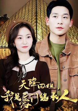 天降四姐，我是豪门继承人封面图