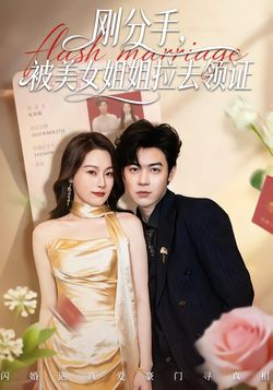 刚分手，被美女姐姐拉去领证封面图