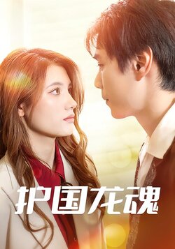护国龙魂封面图