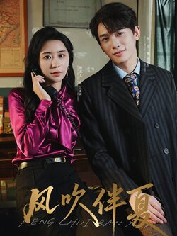 风吹伴夏封面图