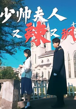 少帅夫人又辣又飒封面图